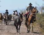 La Agrupación Gaucha Coronel Felipe Varela de la localidad de Guandacol, dura cinco días a lomo de mula, para llegar el 17 a Comecaballos. Después tenemos los actos el sábado 18 y domingo 19, y luego regresan el mismo día.